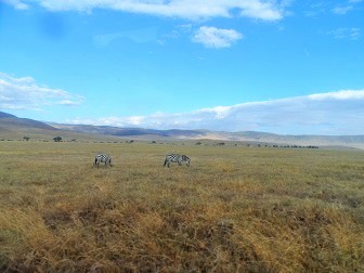 The Ngorongoro Crater The Ngorongoro Crater